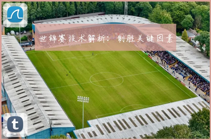 世锦赛技术解析:制胜关键因素